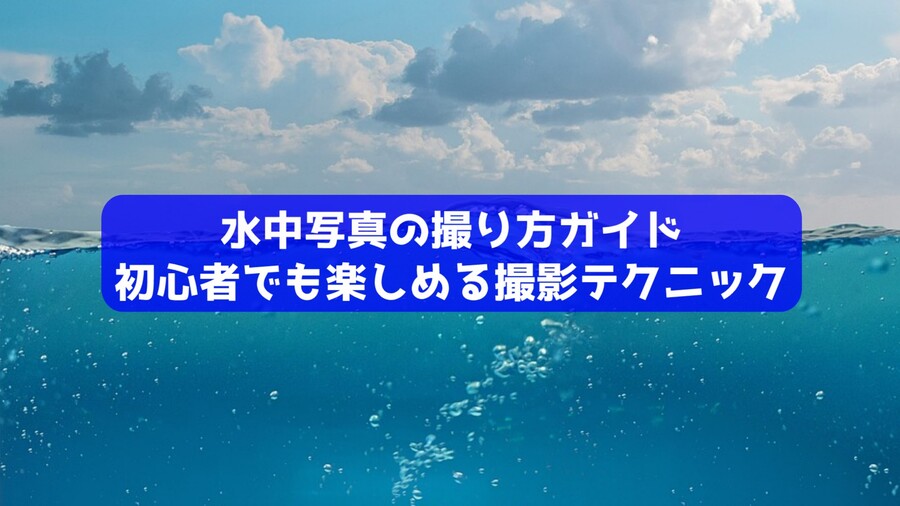 水中写真の撮り方ガイド